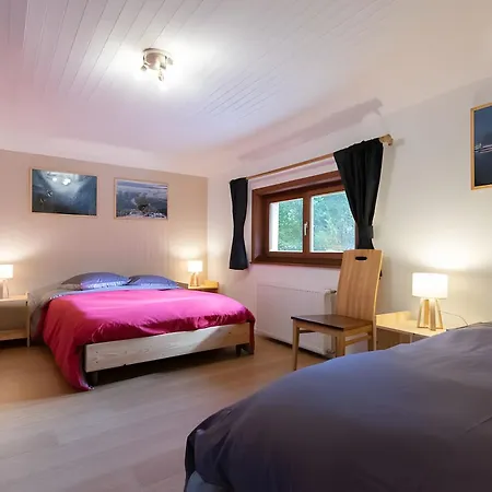 Nature L'oree Des Etoiles *